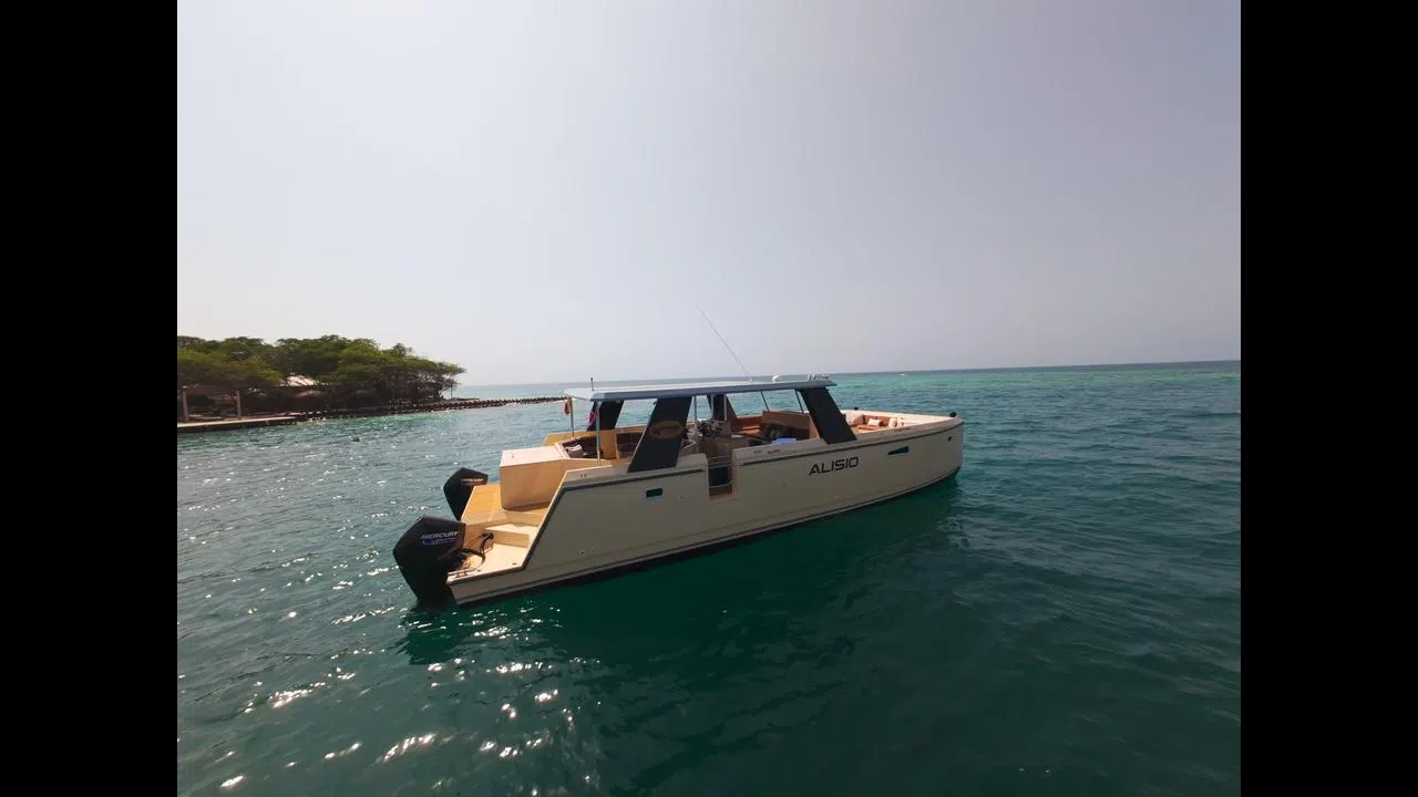 ALISEA 10