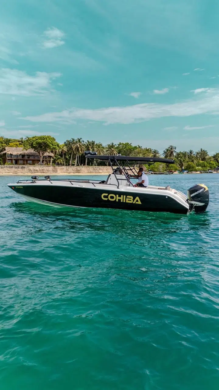 COHIBA 7