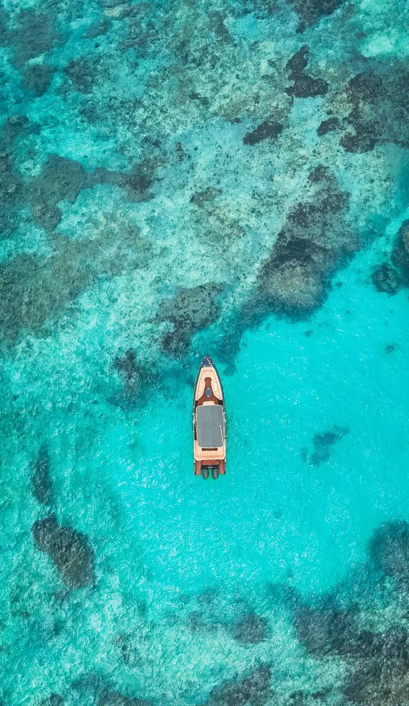 LA VIE 2