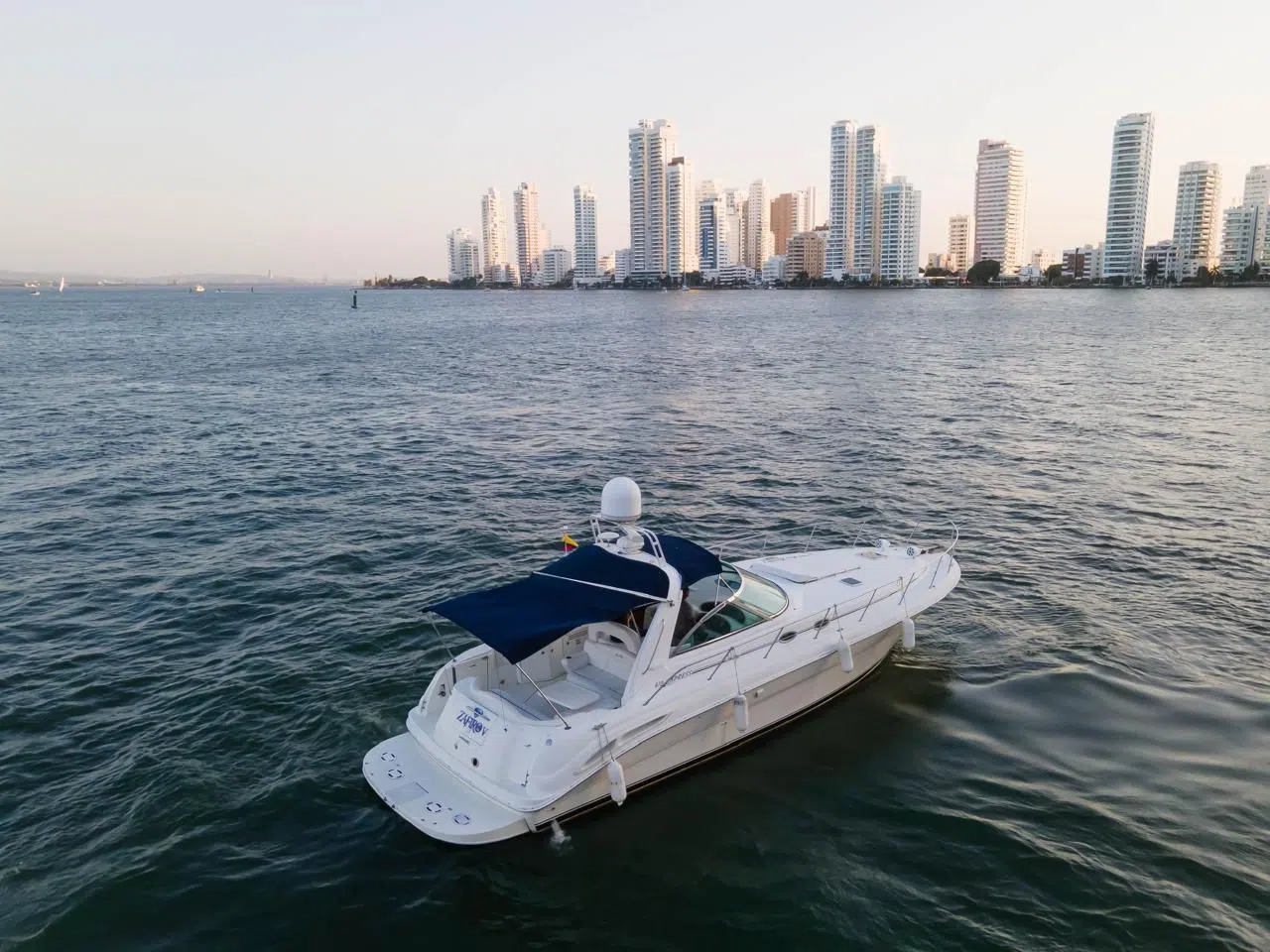 SAFIRO 10