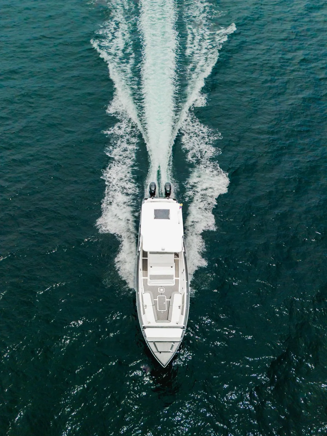 SEABARNZ 4