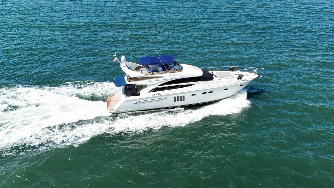 VIKING SEA 8