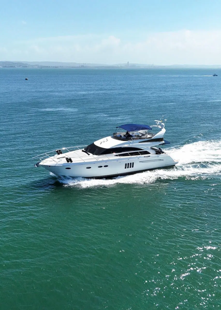 VIKING SEA 10